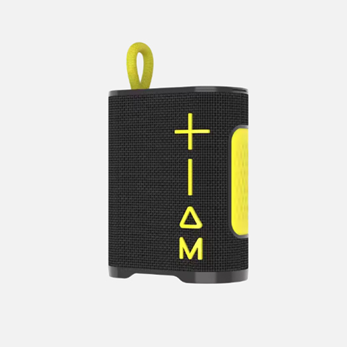 2 in 1 Soundbox Combo Earbuds